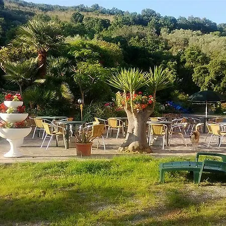 La Feluca